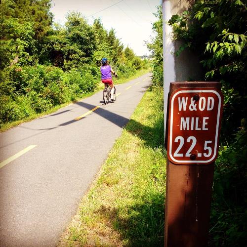 trail photo